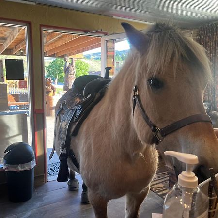 Big Bear Motel Cody Bagian luar foto
