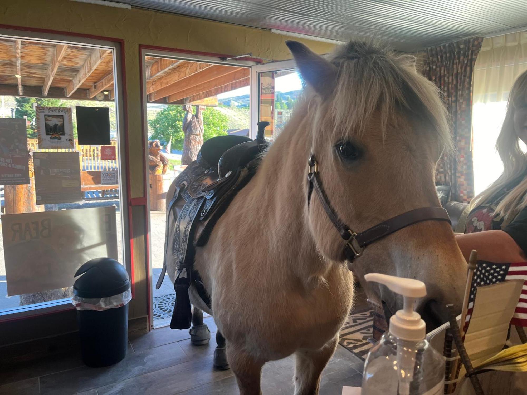 Big Bear Motel Cody Bagian luar foto